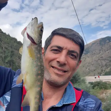 Arman, 66Армения