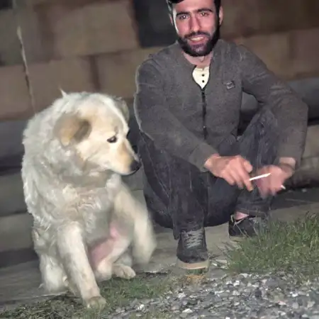 Armen, 26Армения 