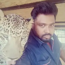 Фото Jaguar 2 